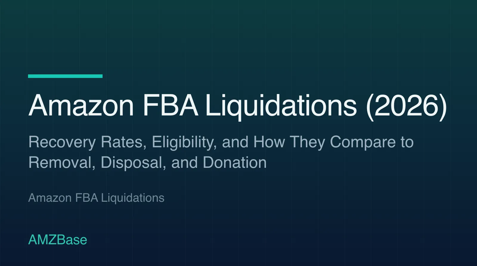 Amazon FBA Liquidations (2026) title card
