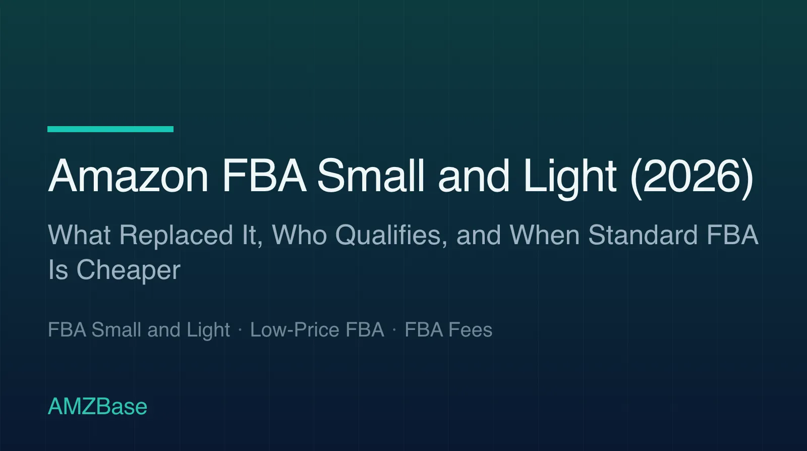 Amazon FBA Small and Light (2026) title card