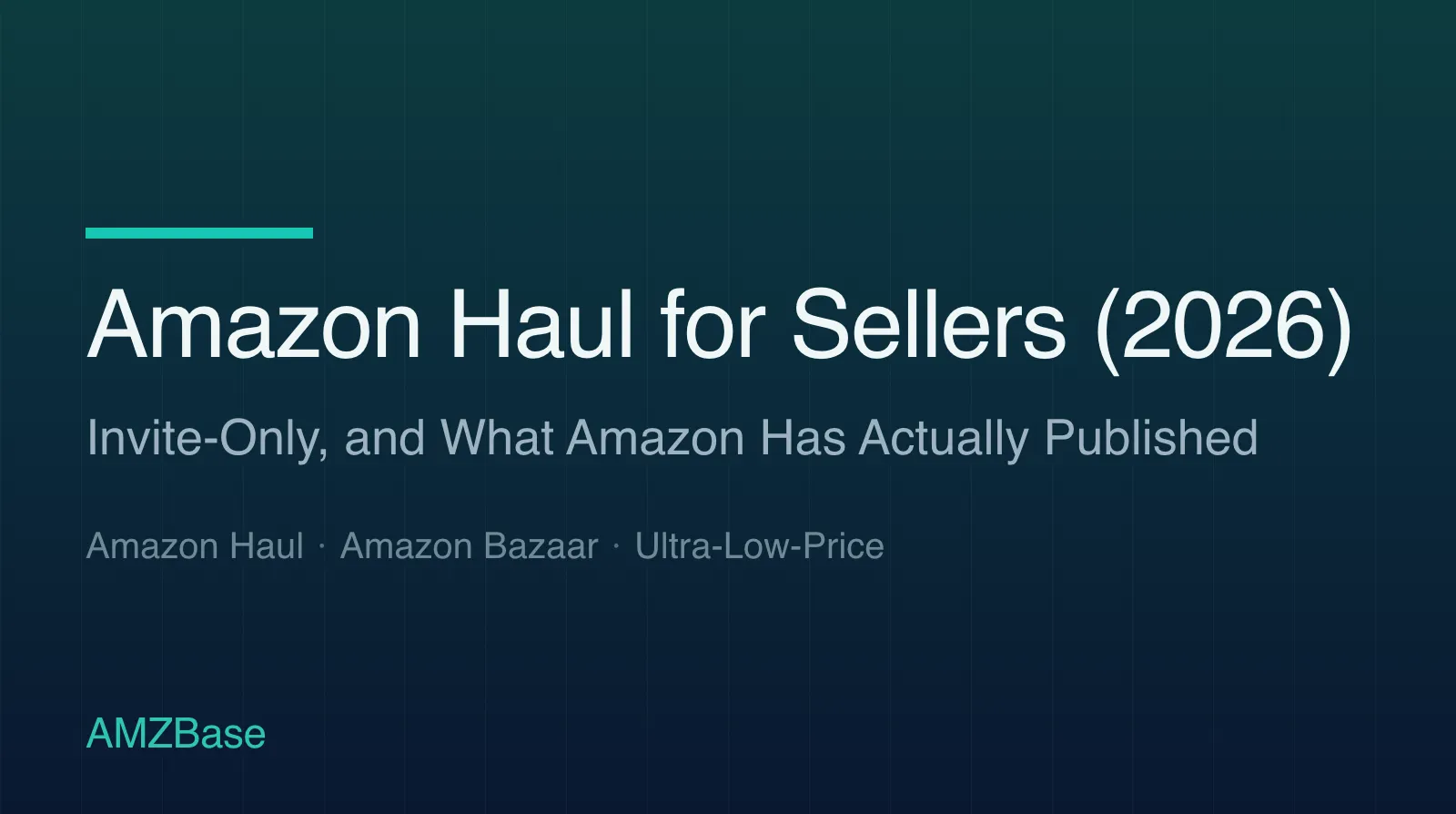 Amazon Haul for Sellers (2026) title card